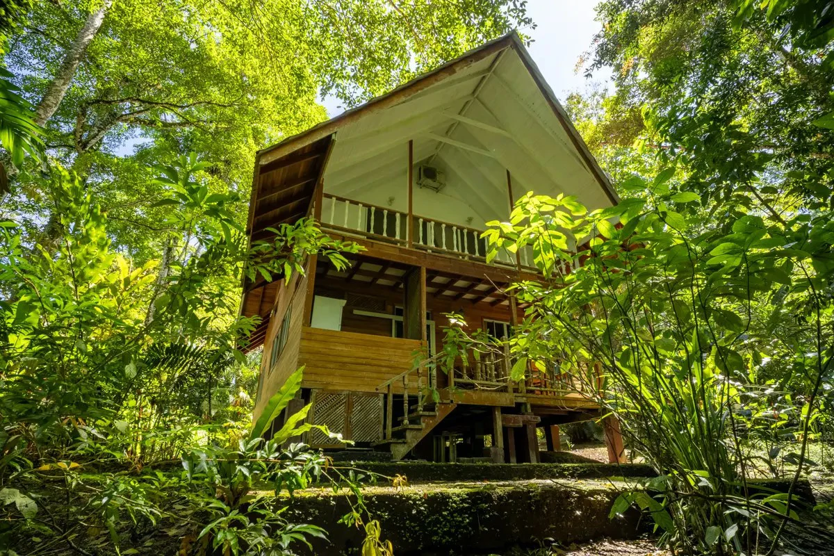 ID 26: 2 BD/2 BA Private Jungle Chalet in a Gated Community Near Hone Creek - Gallery image 9