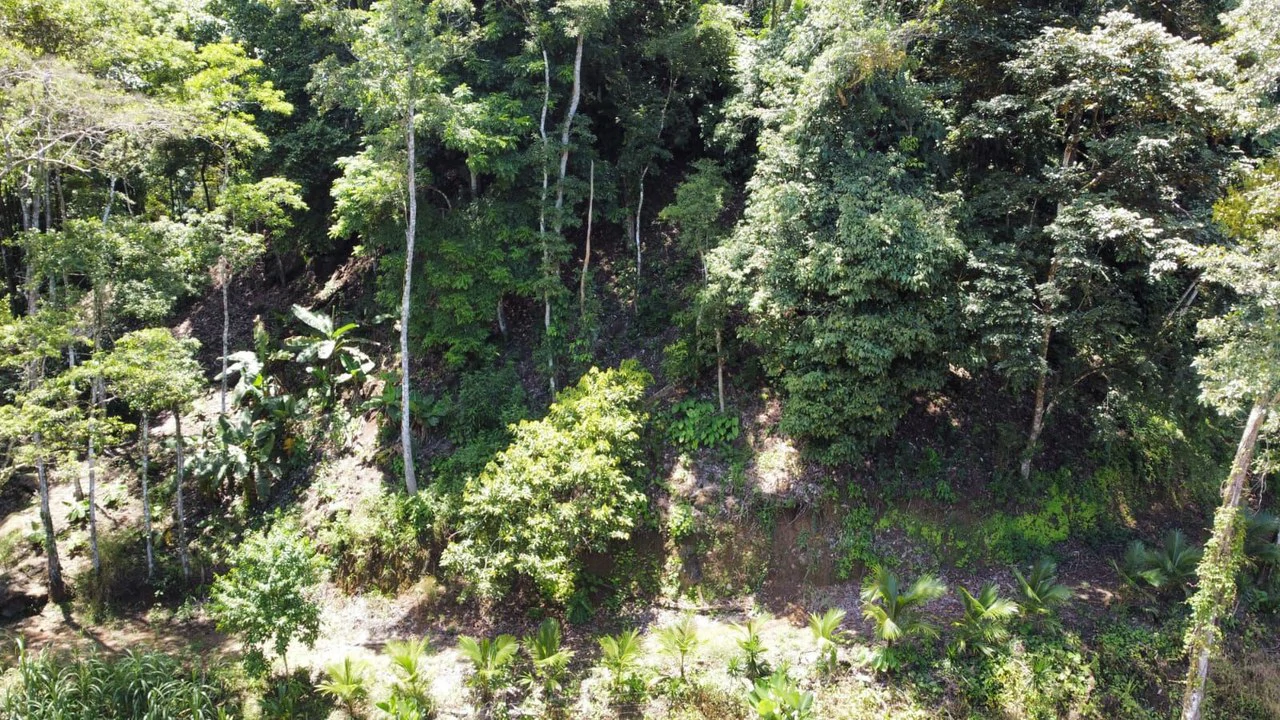 TERRENO EN VENTA, PUNTARENAS.: Mountain Home Construction Site For Sale in Hatillo - Gallery image 15