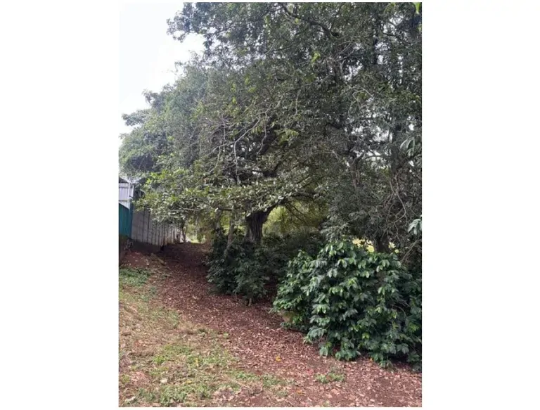 8223 m² Land in Atenas, Alajuela: Private Development in Natural Surroundings