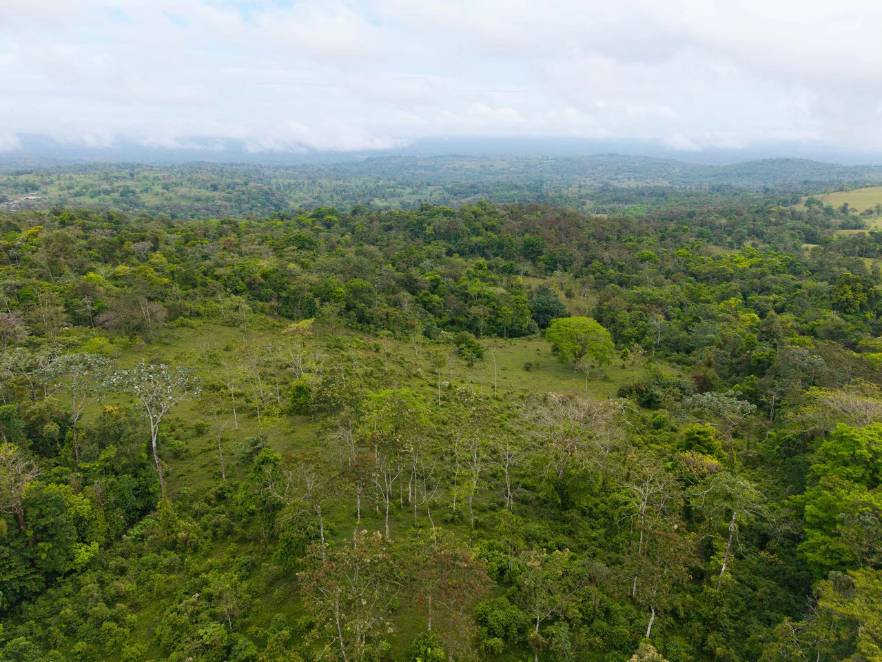 Finca Las Zompopas-Río Celeste: 113-Acre Biodiverse Property in Bijagua, Ideal for Eco-Tourism, Private Retreats, or Sustainable Development - Gallery image 33