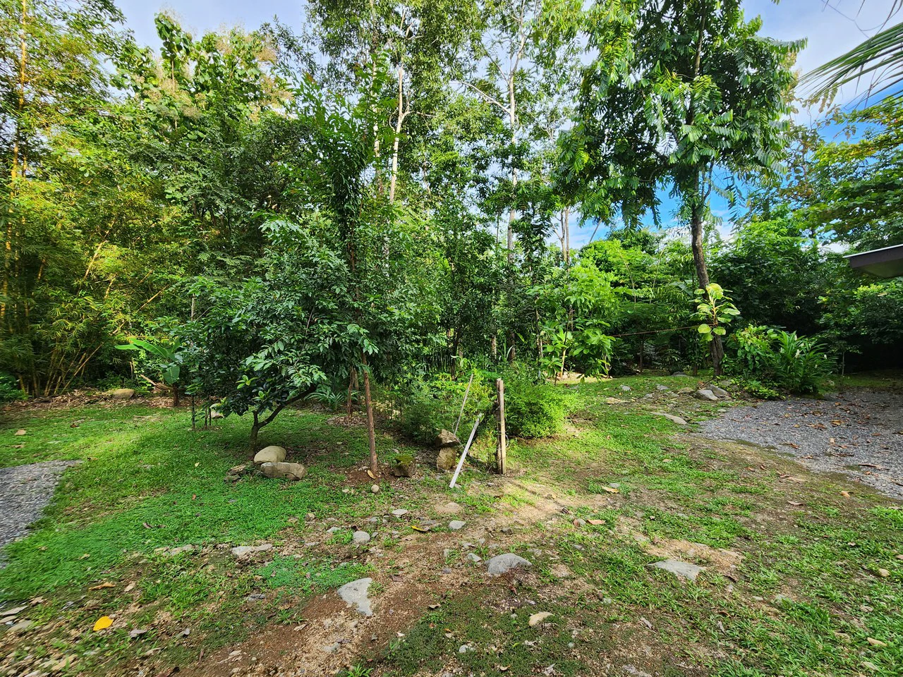 FOR SALE IN UVITA HOUSE WITH STUDIO APARTMENT AND RIVER ACCESS - Gallery image 24