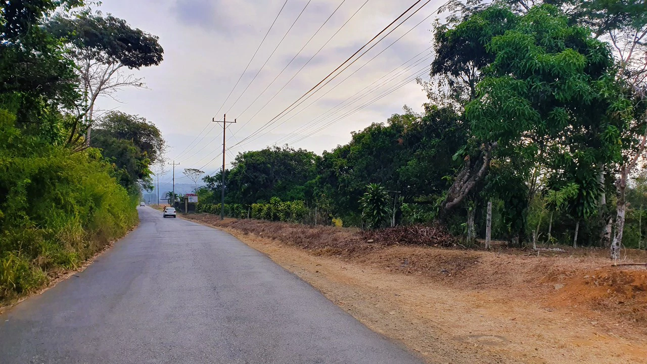 FRUIT TREE PROPERTY FOR SALE: Home Construction Site For Sale in San Isidro del General - Gallery image 9