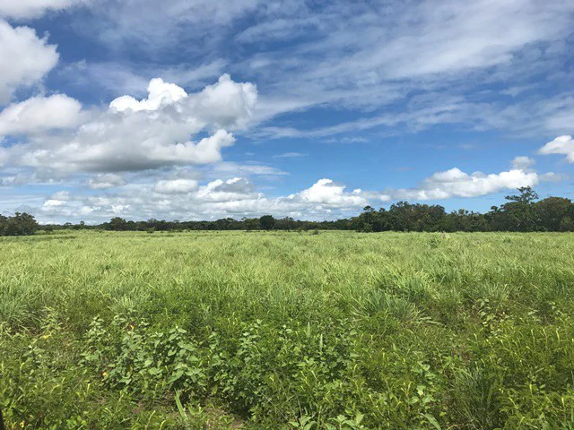 NYA project Price $ 17 m². 21 hectares - Gallery image 2