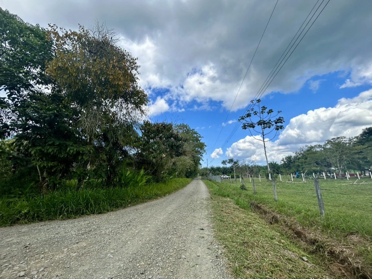 2.4 Acres Building Lot in Osa Peninsula - Gallery image 3