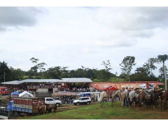Serene Jungle Farm in Limon Province - Gallery image 50