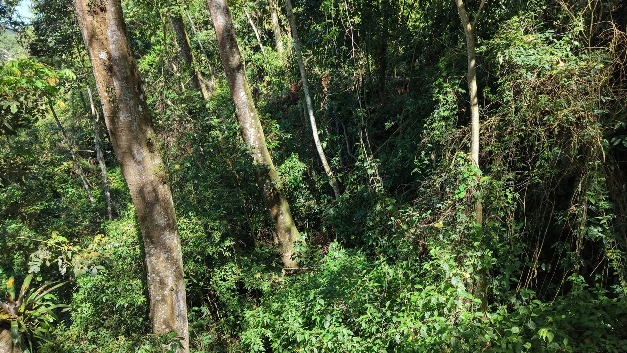 Countryside Home Construction Site For Sale in Guadalupe - photo 3