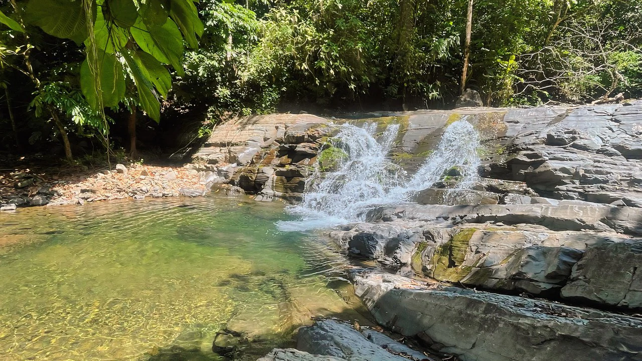 FINCA CERRO DEL TIGRE! OVER 20 ACRES OF PRIMARY FOREST AND WATERFALLS.: Mountain Agricultural Land For Sale in La Unión - Gallery image 25