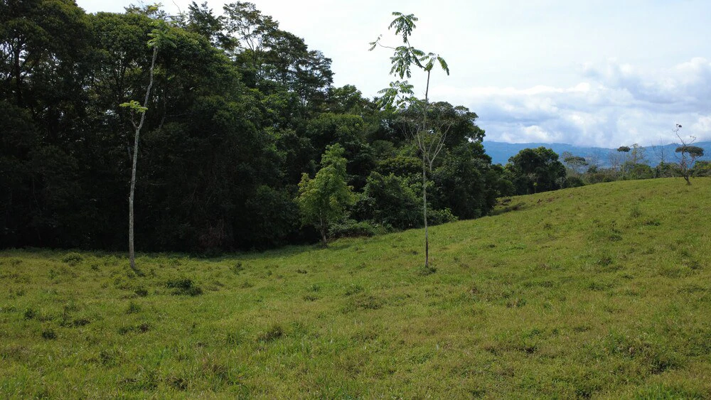Countryside Home Construction Site For Sale in Centro de Pérez Zeledón - Gallery image 3