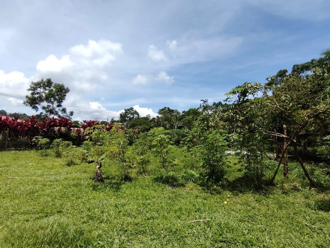 Lote en San Juan Bosco, Perez Zeledon, Costa Rica: Countryside Home Construction Site For Sale in Daniel Flores - Gallery image 7