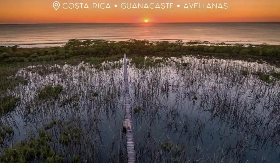 Near the Coast House For Sale in Playa Avellanas - Gallery image 8