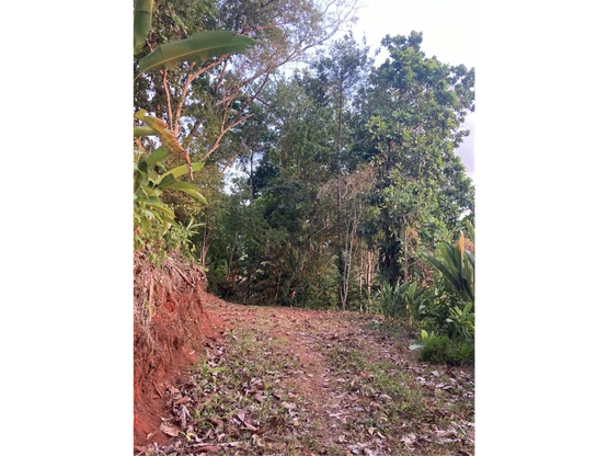 Home Construction Site For Sale in Jacó - Gallery image 9