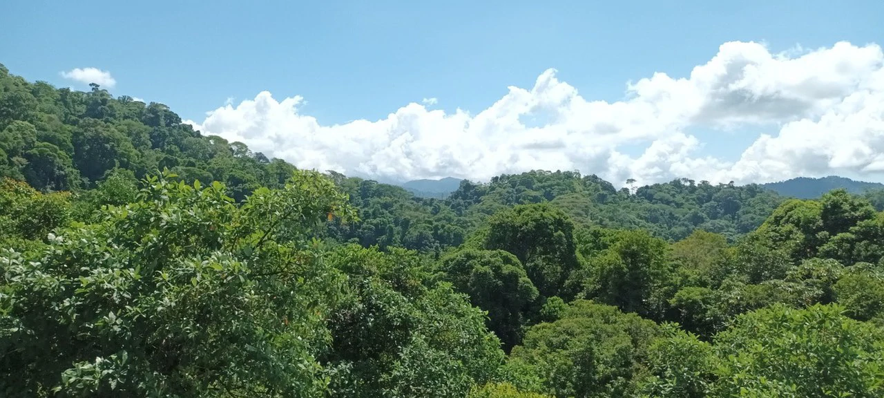 SECLUDED PARADISE WITH STUNNING VIEWS, WATERFALLS & ABUNDANT WILDLIFE - Gallery image 28