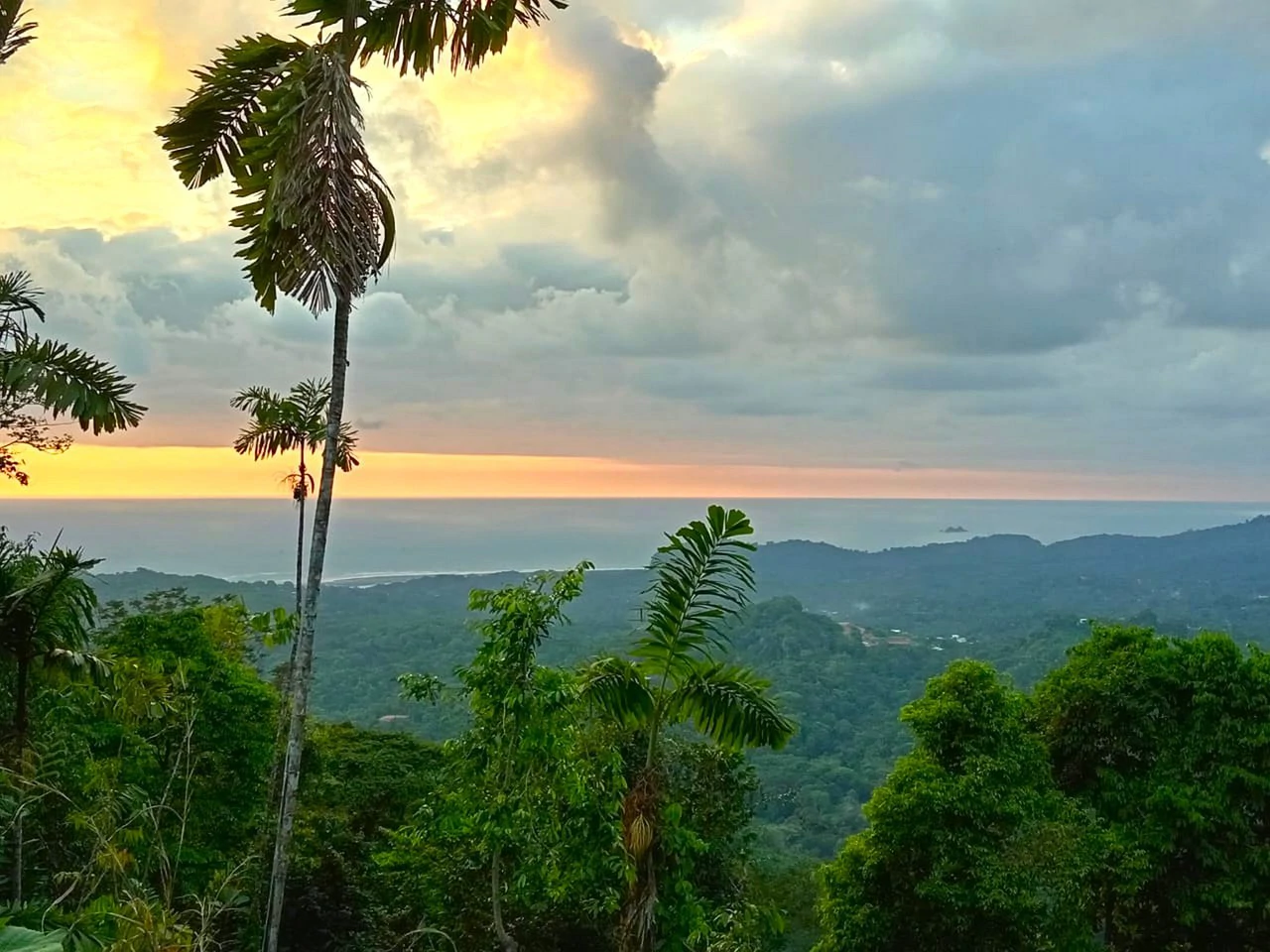 0.46 ACRES – Ocean View Land Just 4 Minutes Away From El Pavon Waterfall, Legal Water And Electricity Available & Ready To Build Site!!!: Mountain and Countryside Home Construction Site For Sale in Tr