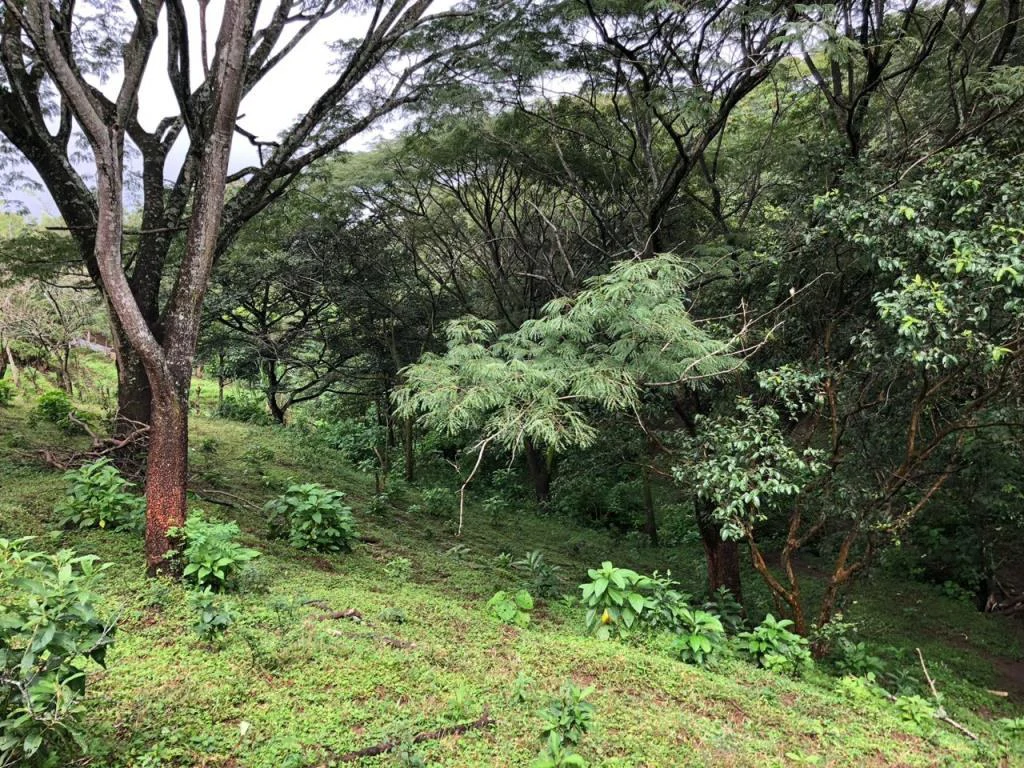 Commercial property in Guácima, Alajuela - Gallery image 8