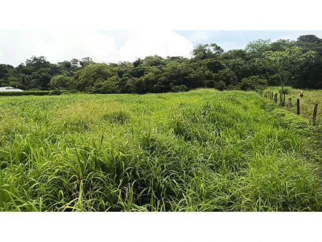 Amazing building property for sale 5 minutes away from Liberia center and 2 minutes walking to the Colorado River - Gallery image 28