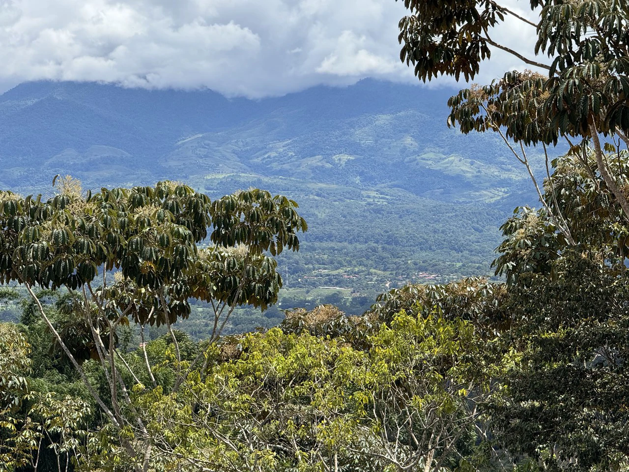 Prime 40,000 Sq. Ft. Building Lot with Mountain & Valley Views in Pérez Zeledón - Gallery image 18