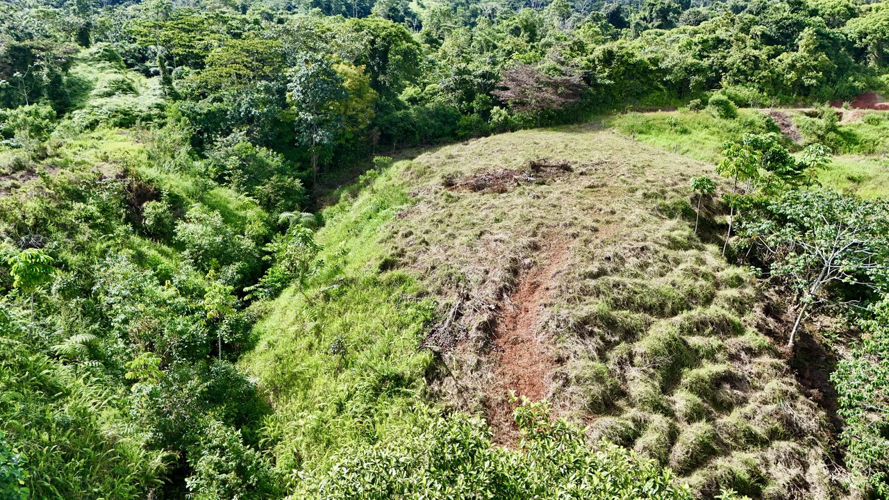 Off-Grid Ocean View Lot | 1.7 Acres in Las Nubes Matapalo Hills - Gallery image 12