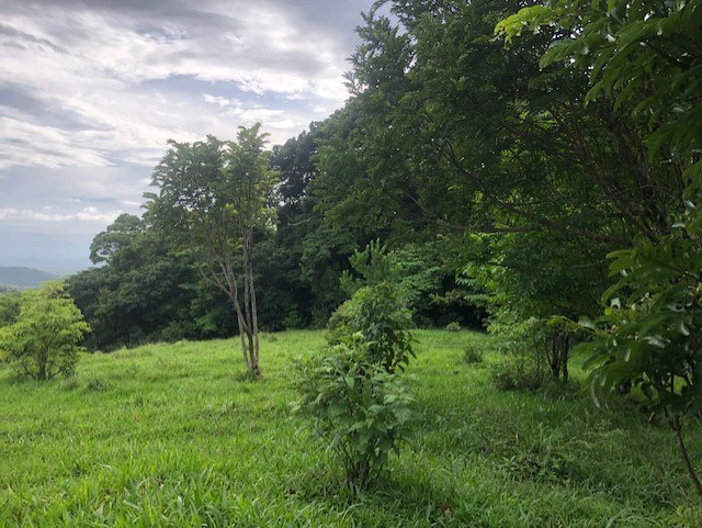 Warm Spring Mountain Property in a tropical landscape and antique wooden house,  50 minutes from Liberia city - Gallery image 25