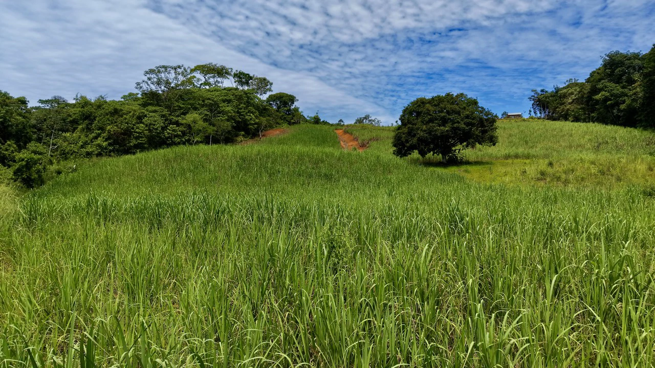 Development Parcel For Sale in Daniel Flores - Gallery image 12