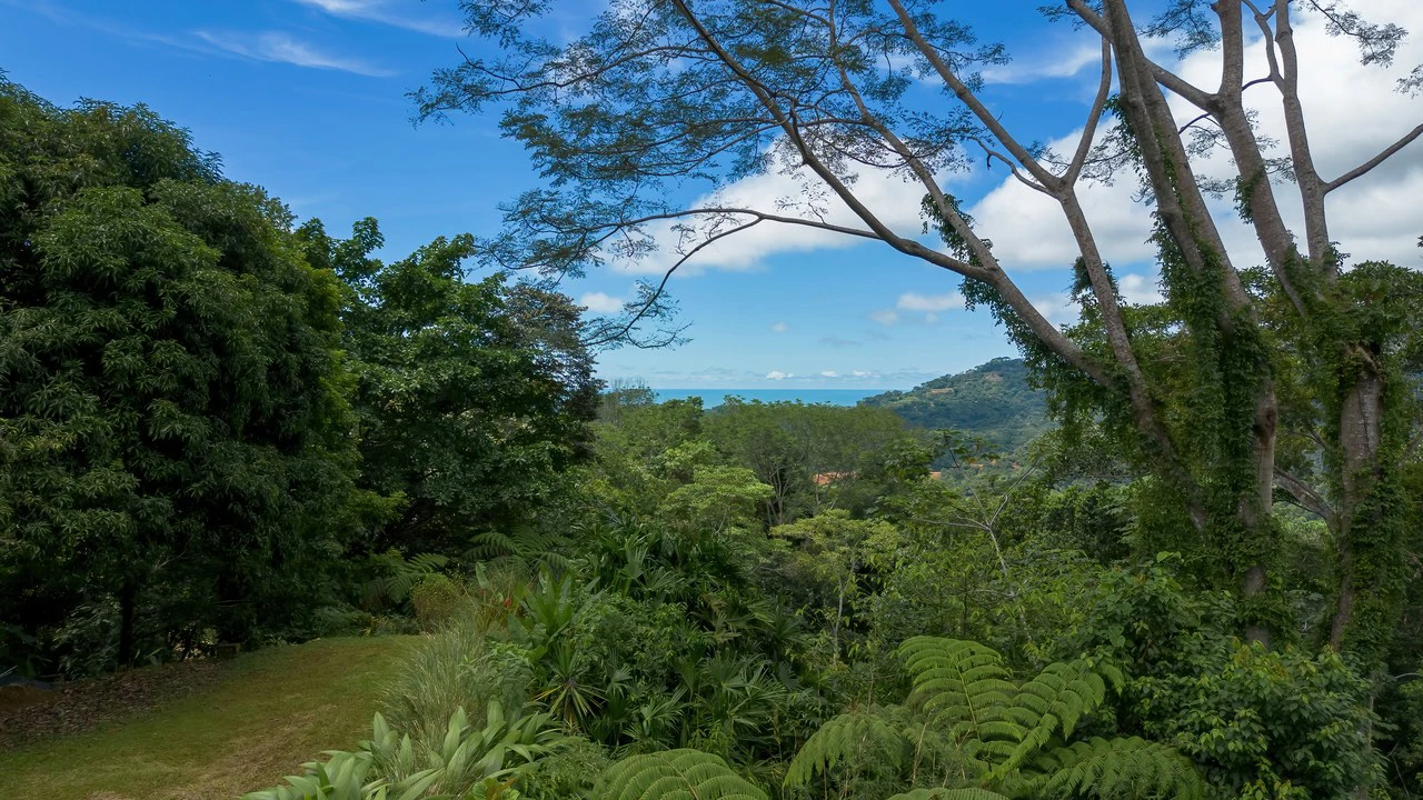 Build-Ready Ocean View Land with Guest House & Fruit Orchard | Tres Rios, Costa Rica - Gallery image 15