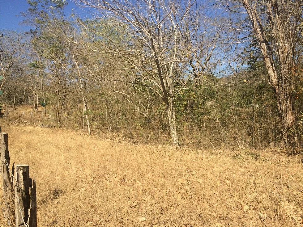 Excelente oportunidad: Excellent opportunity. Big property close to Playa Potrero - Gallery image 5