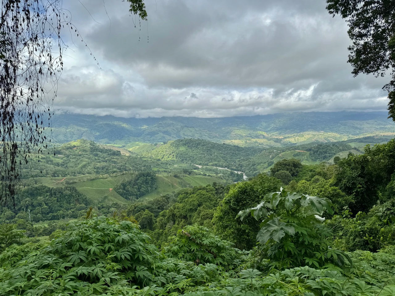 5.3 ACRES – Mountain And River View Land 20min To Dominical, Ready To Build, Legal Water, Electricity & Fiber Optics, Streams And Community Trails!!!! - Gallery image 6