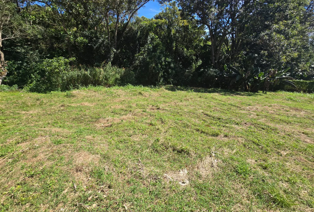 Land for sale in Tambor, Alajuela - Gallery image 9
