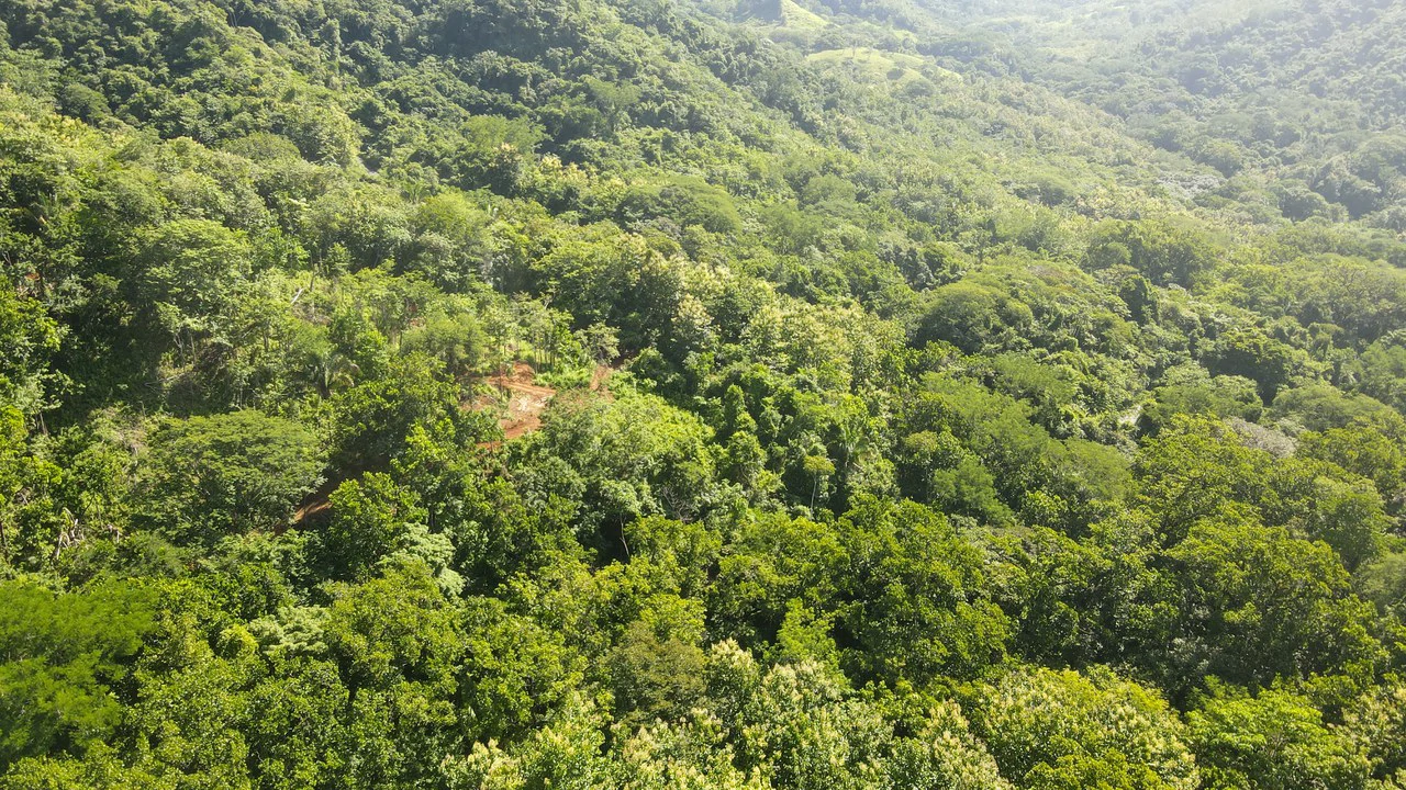 Farm for sale Bejuco Nandayure Guanacaste Costa Rica - Gallery image 7