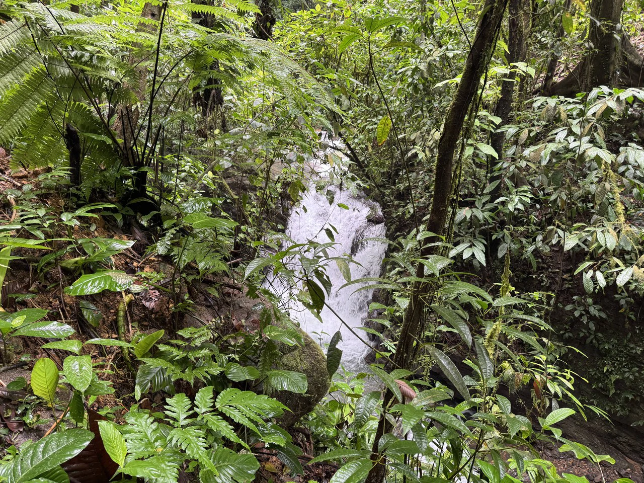 19 Acre Riverfront Lot with Private Waterfall la Perla Dominical - Gallery image 24