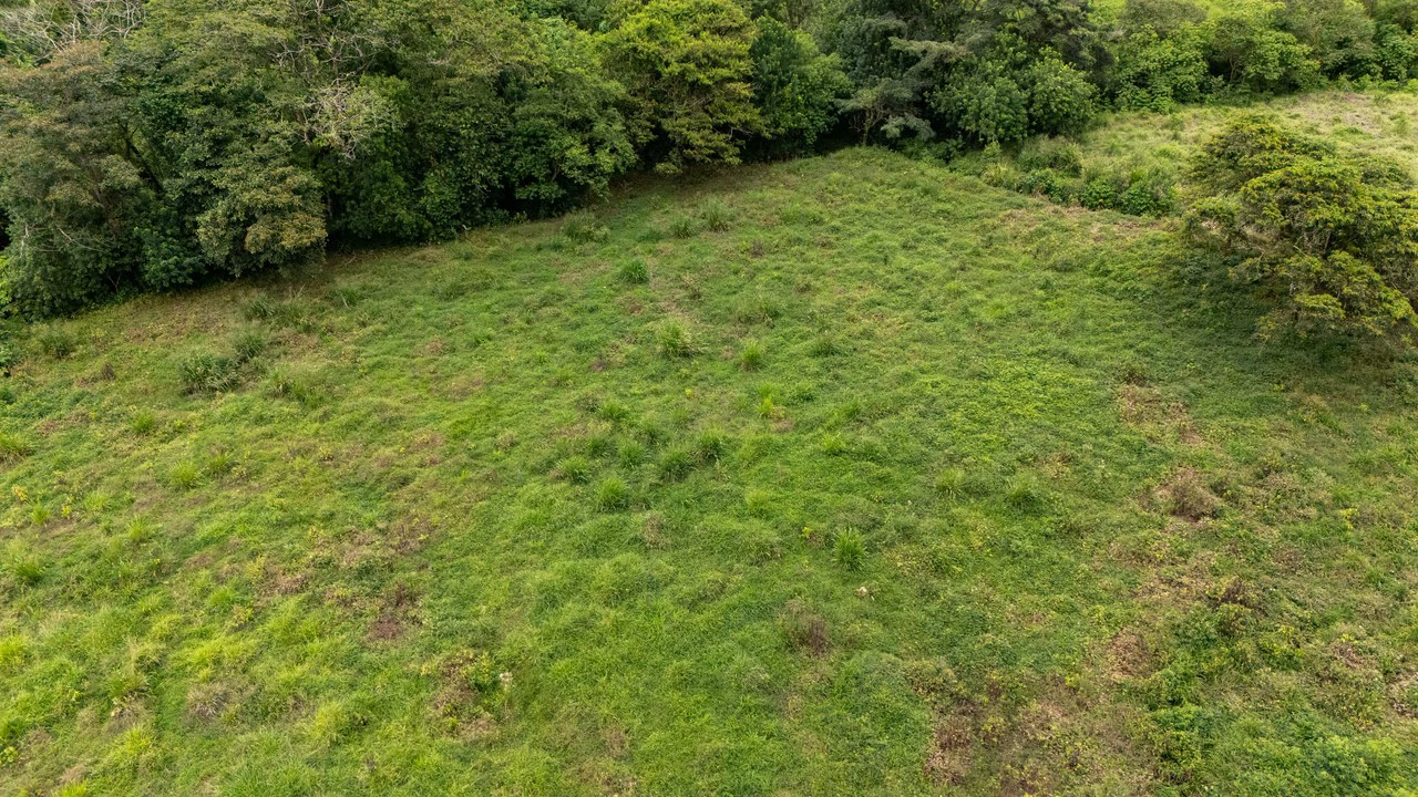 Mountain Home Construction Site For Sale in Río Nuevo - Gallery image 16