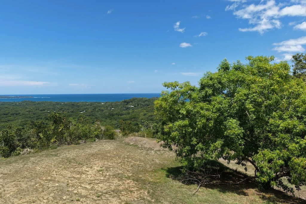 Lot #71: 2,250m2 San Pedro. Las Ventanas Community - photo 9