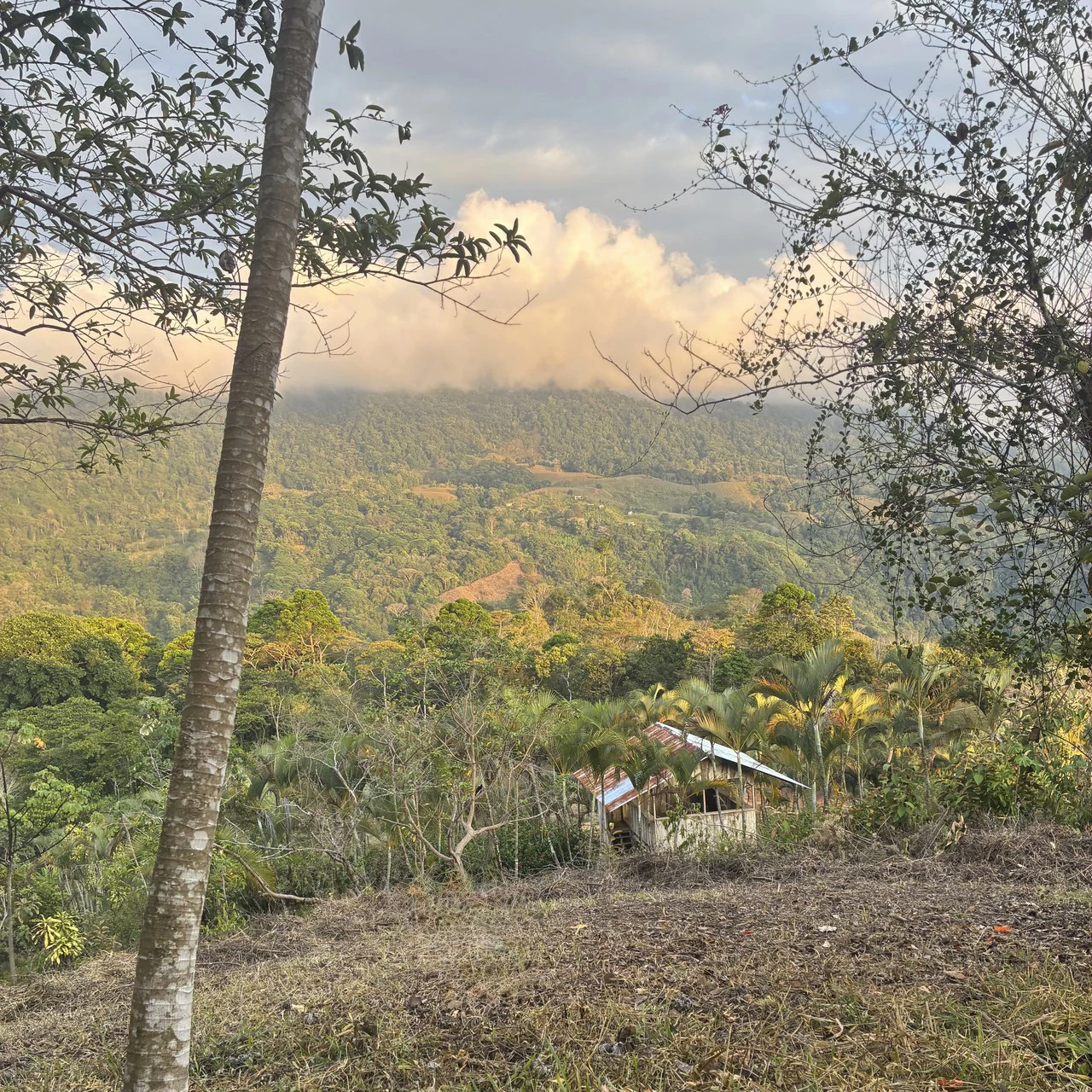Ocean & Mountain View Lot with Multiple Building Sites-20 Minutes from Uvita - Gallery image 4