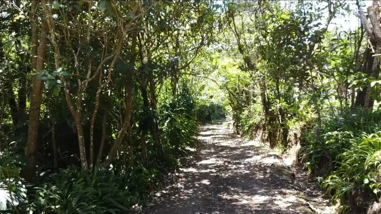 A Hidden Gem in the Heart of Nature | Land in San Rafael de Heredia