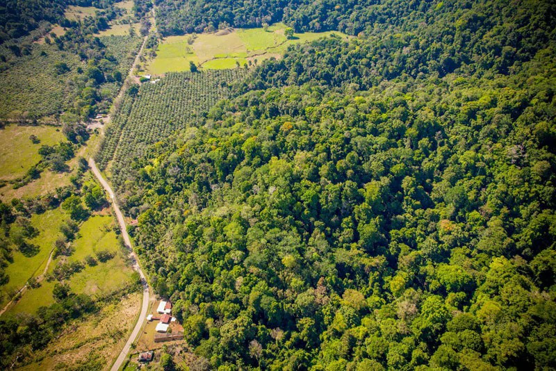 Ocean View & Primary forest 55-ha Rincon de Osa - Gallery image 31