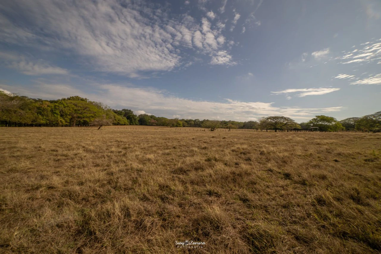 Land for Sale Lepanto Puntarenas overlooking the Gulf Costa Rica - Gallery image 9