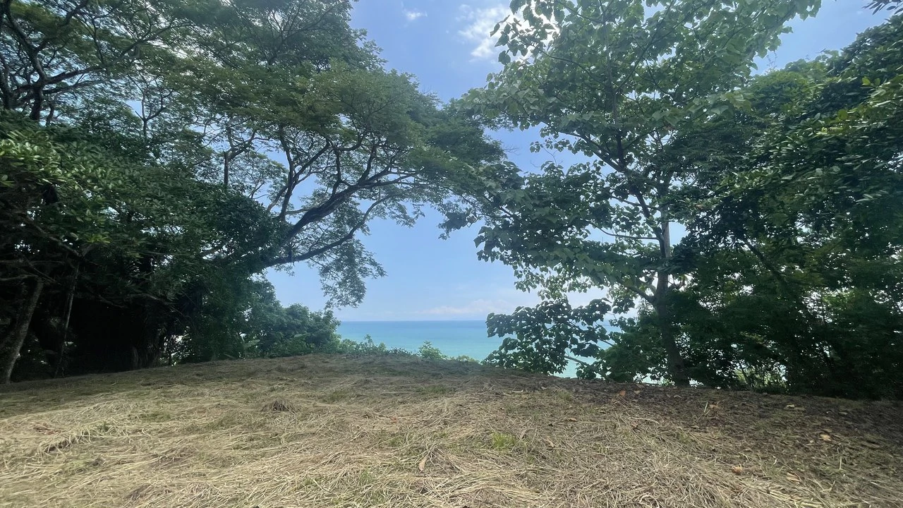 Lote playa Pita Puntarenas:    Your Opportunity on Costa Rica’s Central Pacific Coast - Gallery image 7