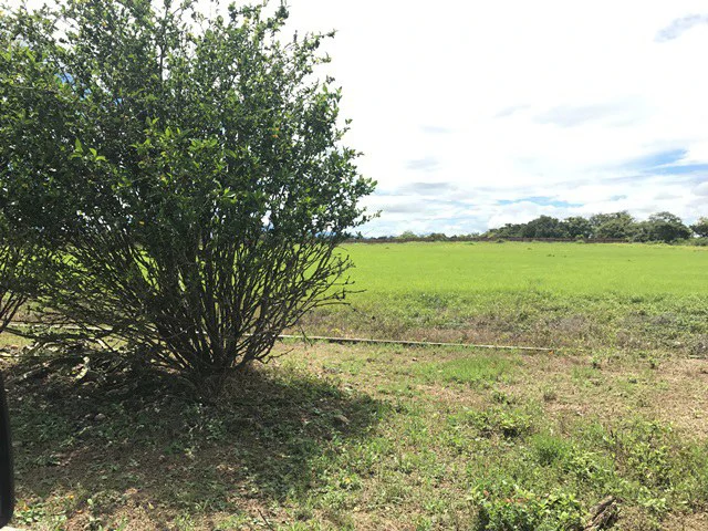 Large Development Land for Sale in Liberia, Guanacaste, Costa Rica - Gallery image 69