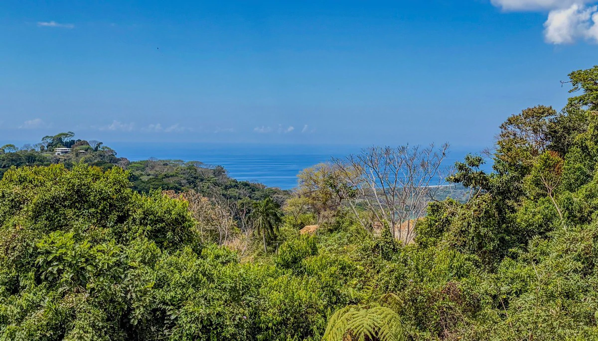 3.64 ACRES - 3 Bedroom Home With Expansive Ocean Views, Multiple Areas to Build, Public Road With Commercial Potential, 10min to the Beach!! - Gallery image 11