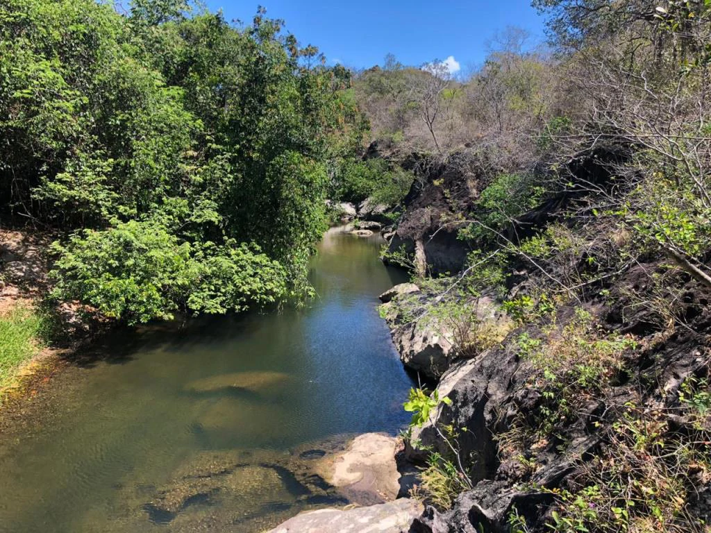Big Farm: Property of 231 hectares in the Salto de Bagaces - Gallery image 15