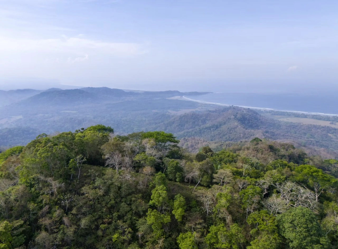 Ocean view farm for sale Costa Rica San Miguel Beach Costa de Oro - Gallery image 15