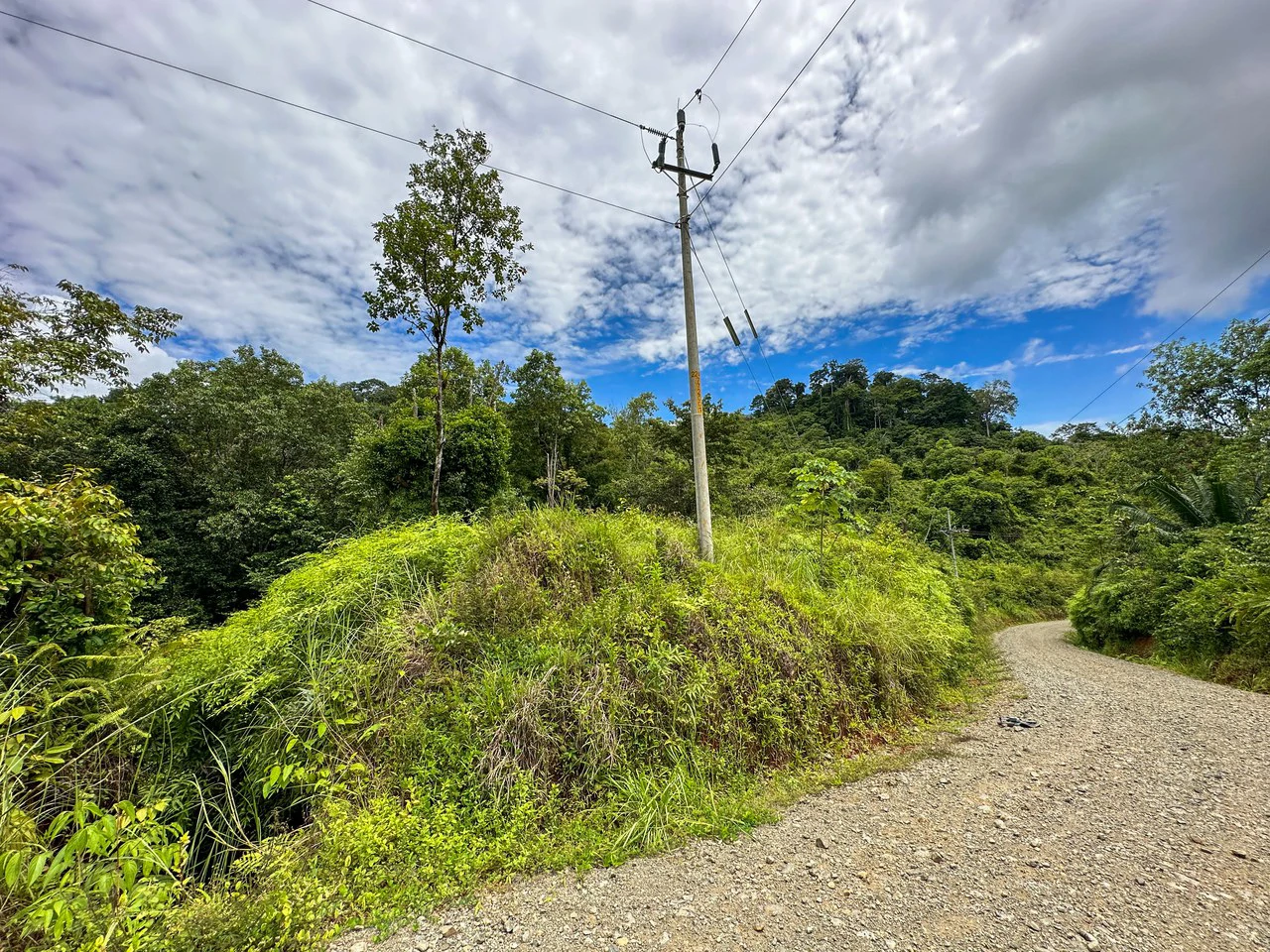 Costa Rican Gem with Conservation Potential: Preserve 26 Acres of Pristine Land - Gallery image 9