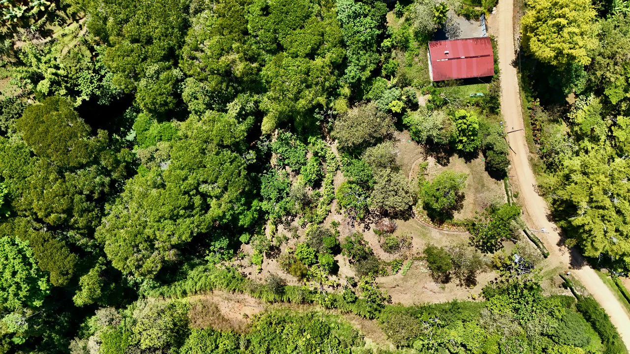 New 1,4 Acre lot in Platanillo – With Legal Water - Gallery image 2