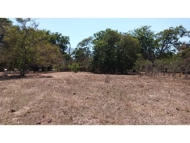 3 Flat topography properties for sale near Playas del Coco, Great building potential in the province of Guanacaste - Gallery image 18
