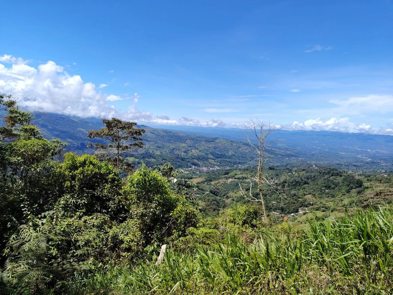 Lote en venta ubicado en Tirra de Rivas, Costa Rica.: Mountain Home Construction Site For Sale in San Isidro del General - Gallery image 10