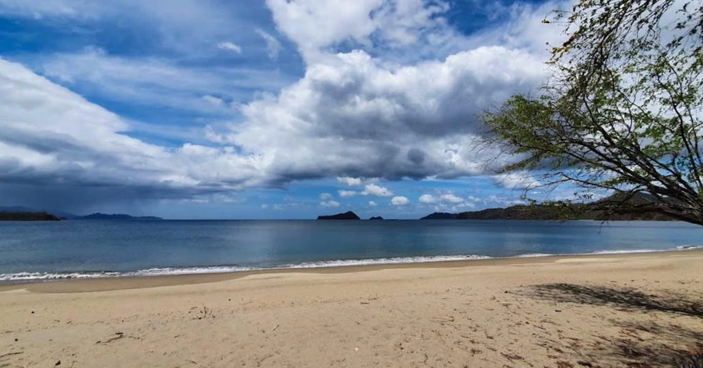 220 Acres Beachside Farm with Ocean View at Playa Junquillal in Guanacaste - Gallery image 2