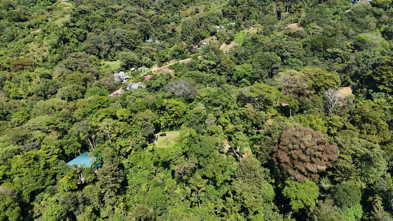 1.7 Acres Ocean View Lot with Producing Cabin in Uvita - Gallery image 3