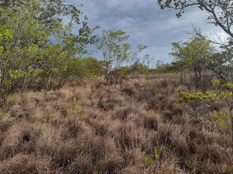 T37: Mountain Home Construction Site For Sale in Curubandé