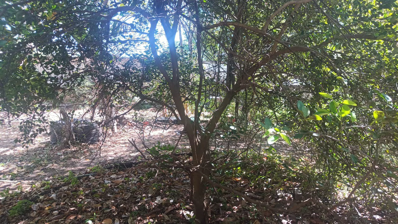 Prime Lot, very close to the beach for sale in the center of Playas del Coco - Gallery image 15