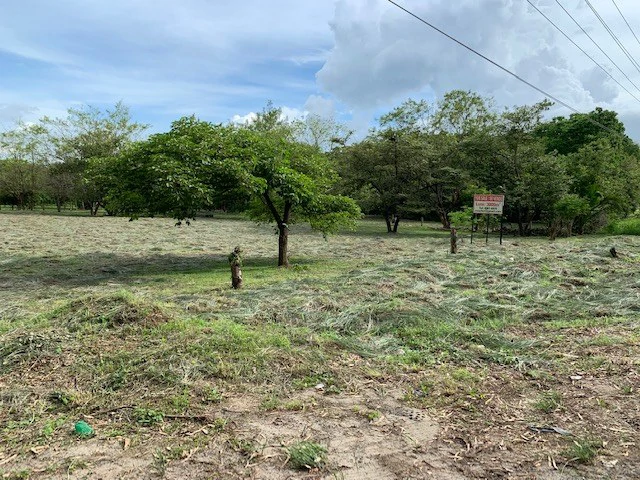 Sale commercial lot in front of the transito Liberia Guanacaste - Gallery image 6