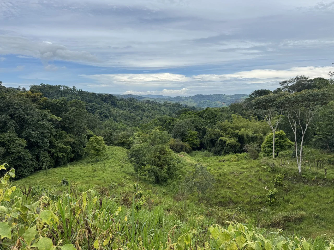19 Acre Riverfront Lot with Private Waterfall la Perla Dominical